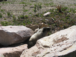 c0156019_245172.jpg