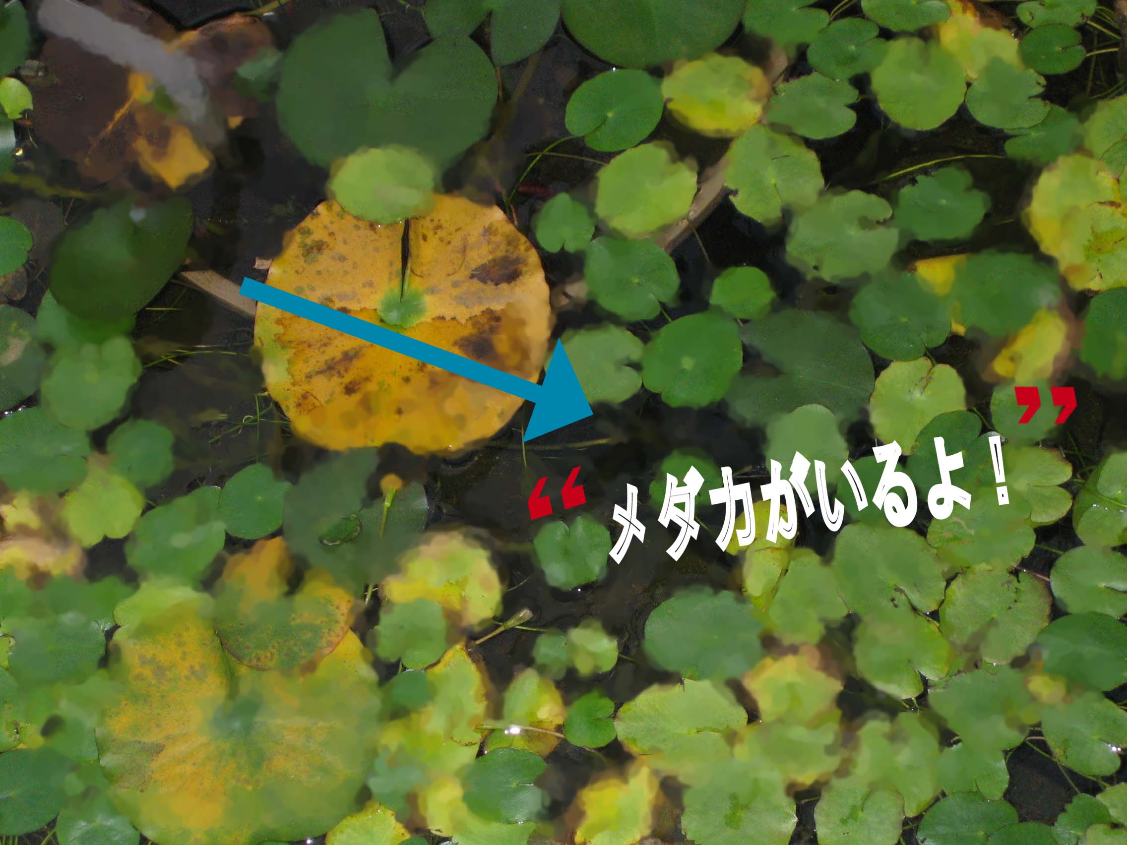 f0149420_17553744.jpg
