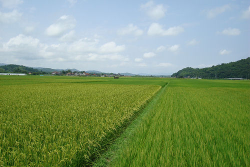 f0007926_11172731.jpg