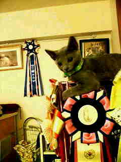 a0090729_2232593.jpg