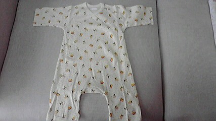 c0086230_13234611.jpg