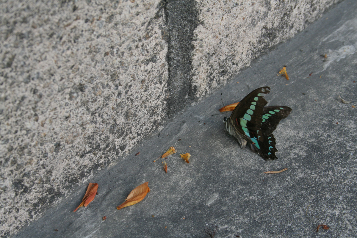 c0073633_1371939.jpg