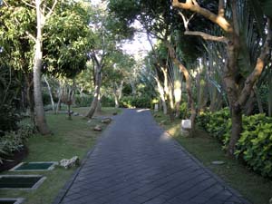 b0035734_18333457.jpg