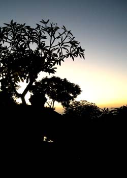 b0035734_1857290.jpg