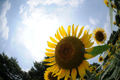 e0054635_9275841.jpg