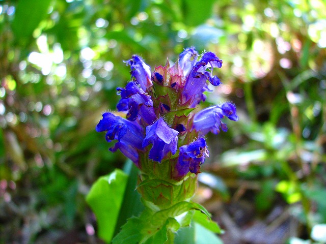 b0097836_21331914.jpg