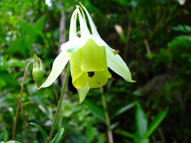b0097836_21341673.jpg