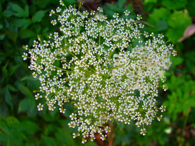 b0097836_2138564.jpg