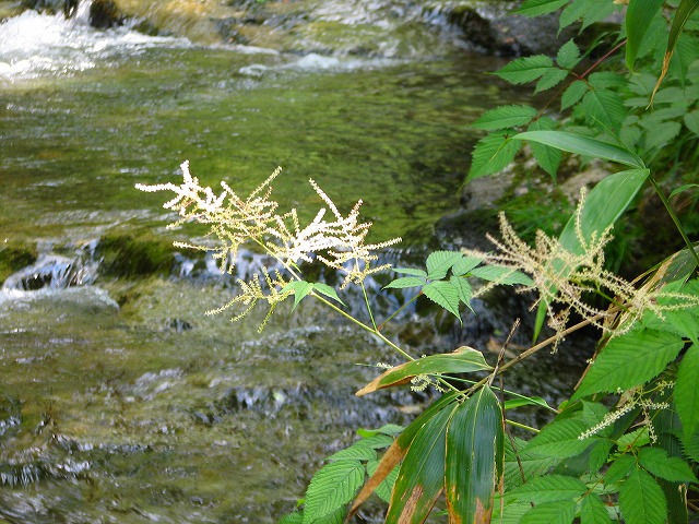 b0097836_2142194.jpg