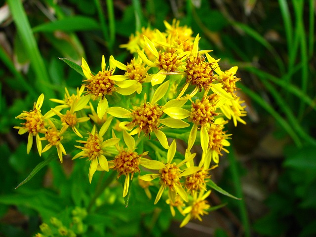b0097836_21444034.jpg