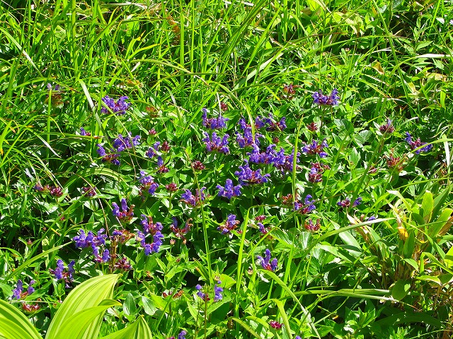 b0097836_21493487.jpg