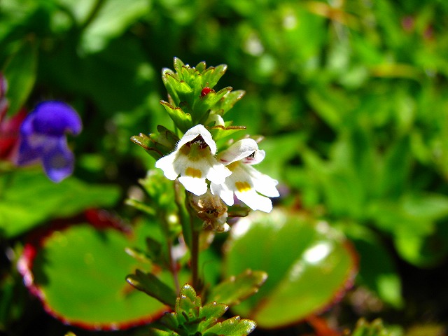b0097836_21514893.jpg