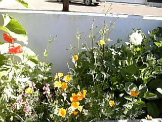b0001440_14582315.jpg