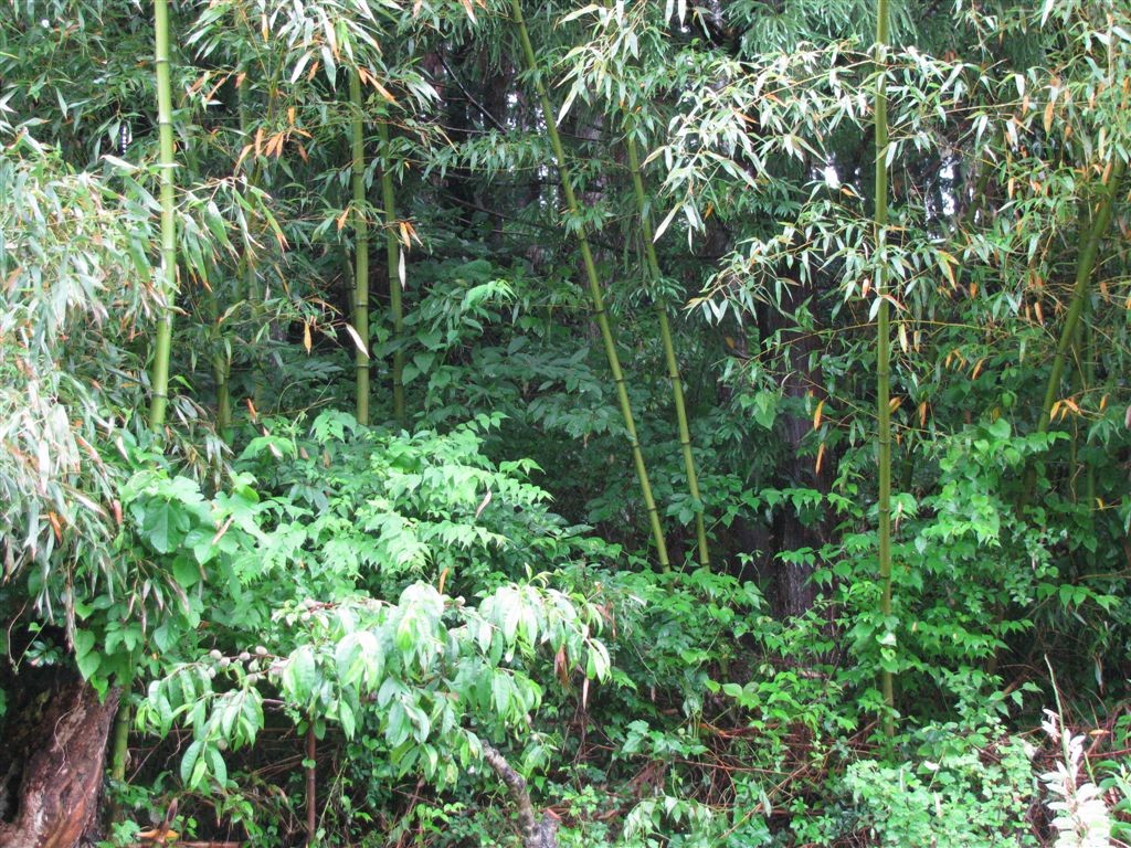 f0151044_6382159.jpg