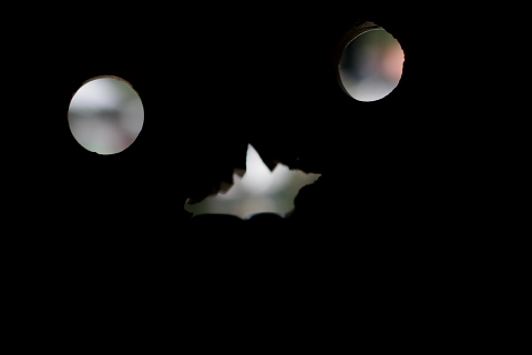 a0024250_1331663.jpg