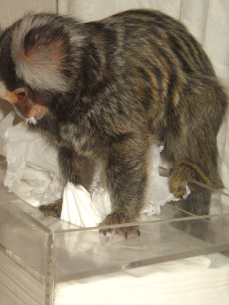 e0142065_647385.jpg