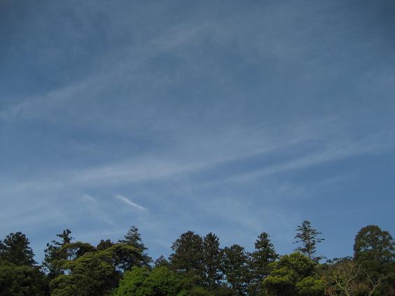 b0112375_942240.jpg