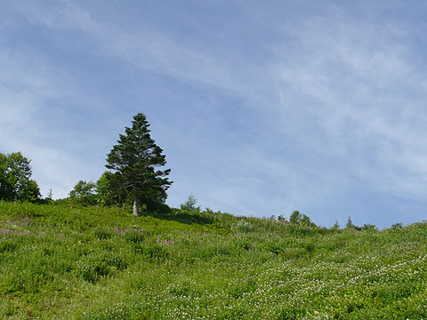 c0107075_2323171.jpg