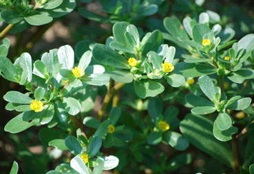 b0159780_23154887.gif