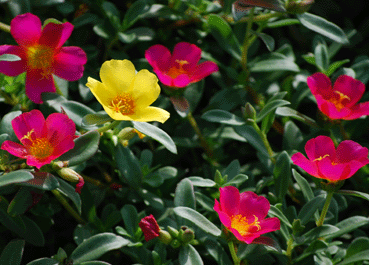 b0159780_23195370.gif