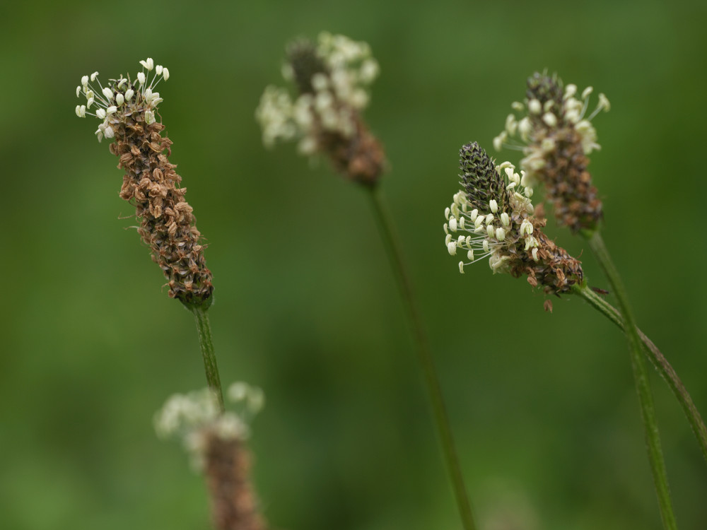 a0083081_15415845.jpg