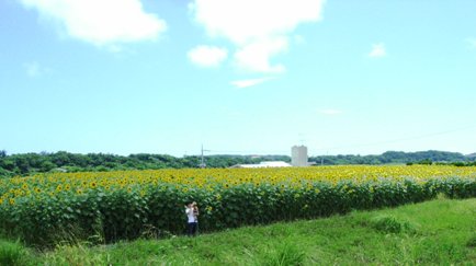 a0005394_1223960.jpg