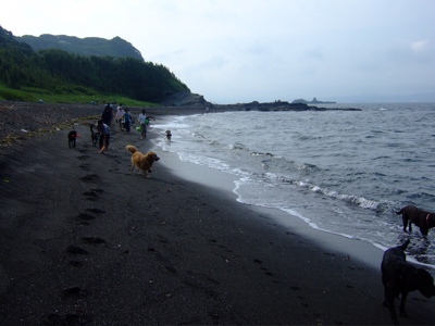 f0001698_1402363.jpg