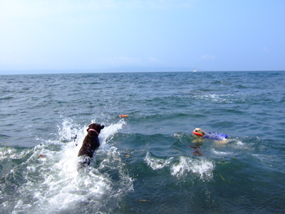 f0001698_1435266.jpg