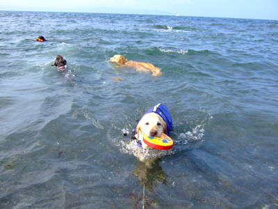 f0001698_221570.jpg