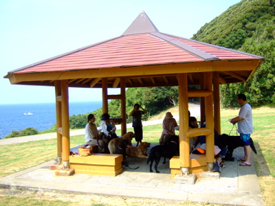 f0001698_2225482.jpg