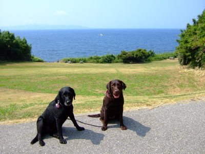 f0001698_224833.jpg