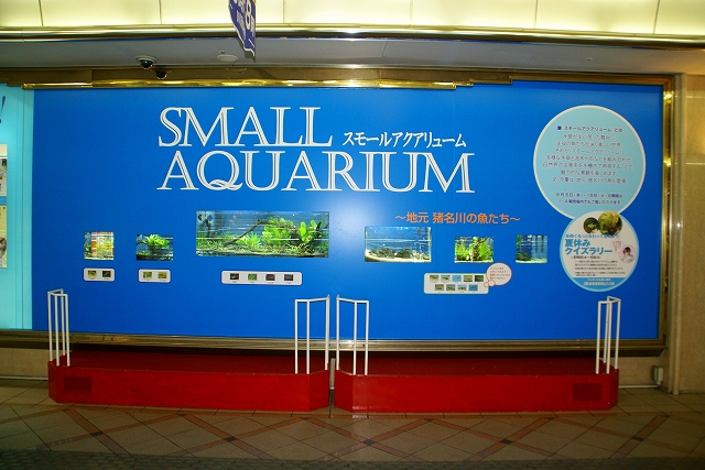 b0063999_20442653.jpg