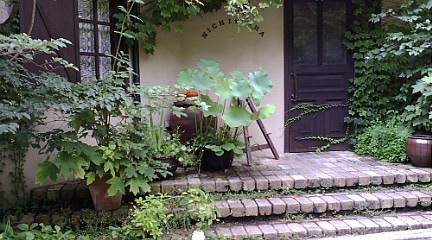 c0152002_21395.jpg
