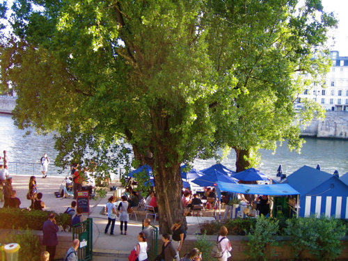 d0135907_05477.jpg