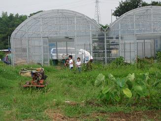 c0138908_9201270.jpg