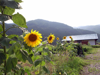 f0135908_227169.jpg