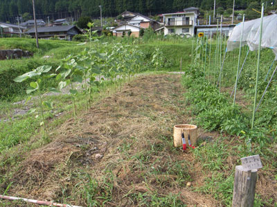 f0135908_2311994.jpg