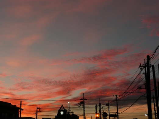 c0097309_7523958.jpg