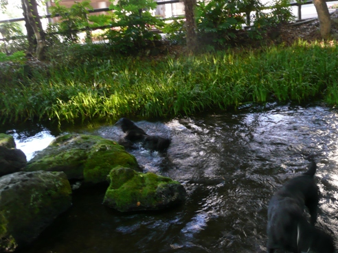 c0097309_7583476.jpg