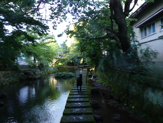 c0097309_8122613.jpg