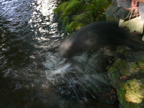 c0097309_818596.jpg