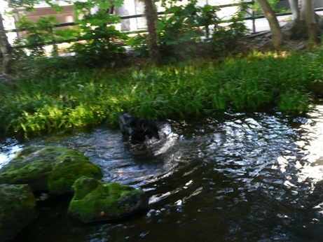c0097309_854159.jpg