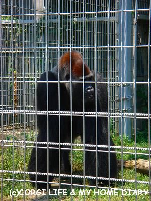 c0153410_1005059.jpg