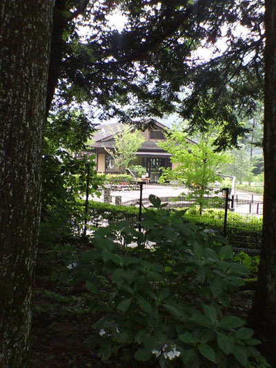 b0012811_055772.jpg