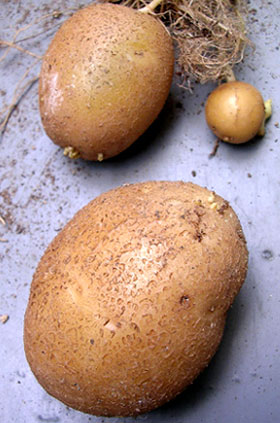 f0036716_21512445.jpg