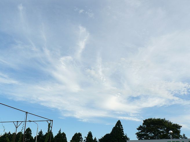 f0004019_1326261.jpg