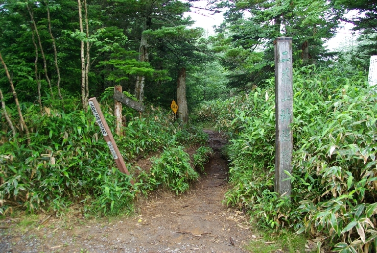 b0062024_1504622.jpg