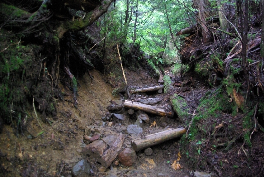 b0062024_1514137.jpg