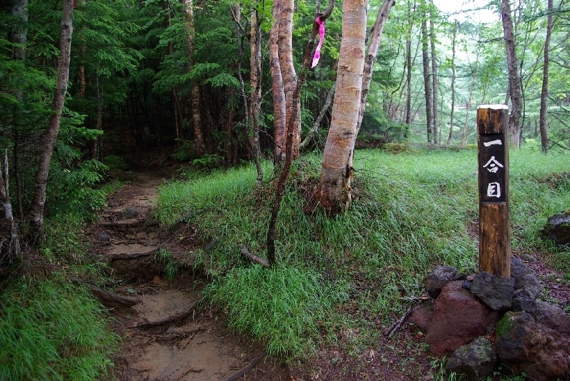 b0062024_1524128.jpg