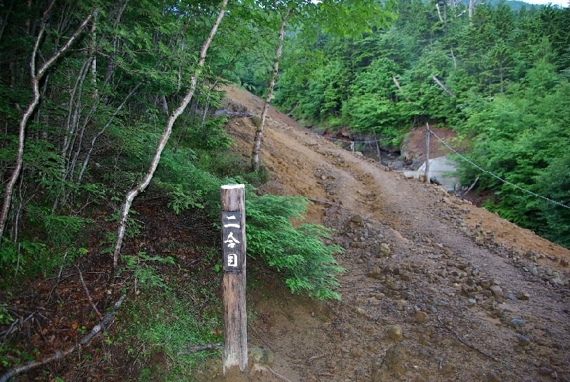 b0062024_157873.jpg